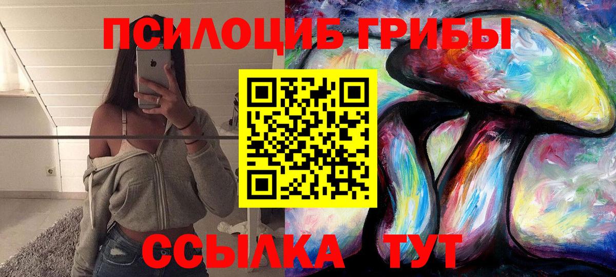 Бор  Галлюциногенные грибы Cubensis  Вход с VPN  Галлюциногенные грибы GOLDEN TEACHER 
